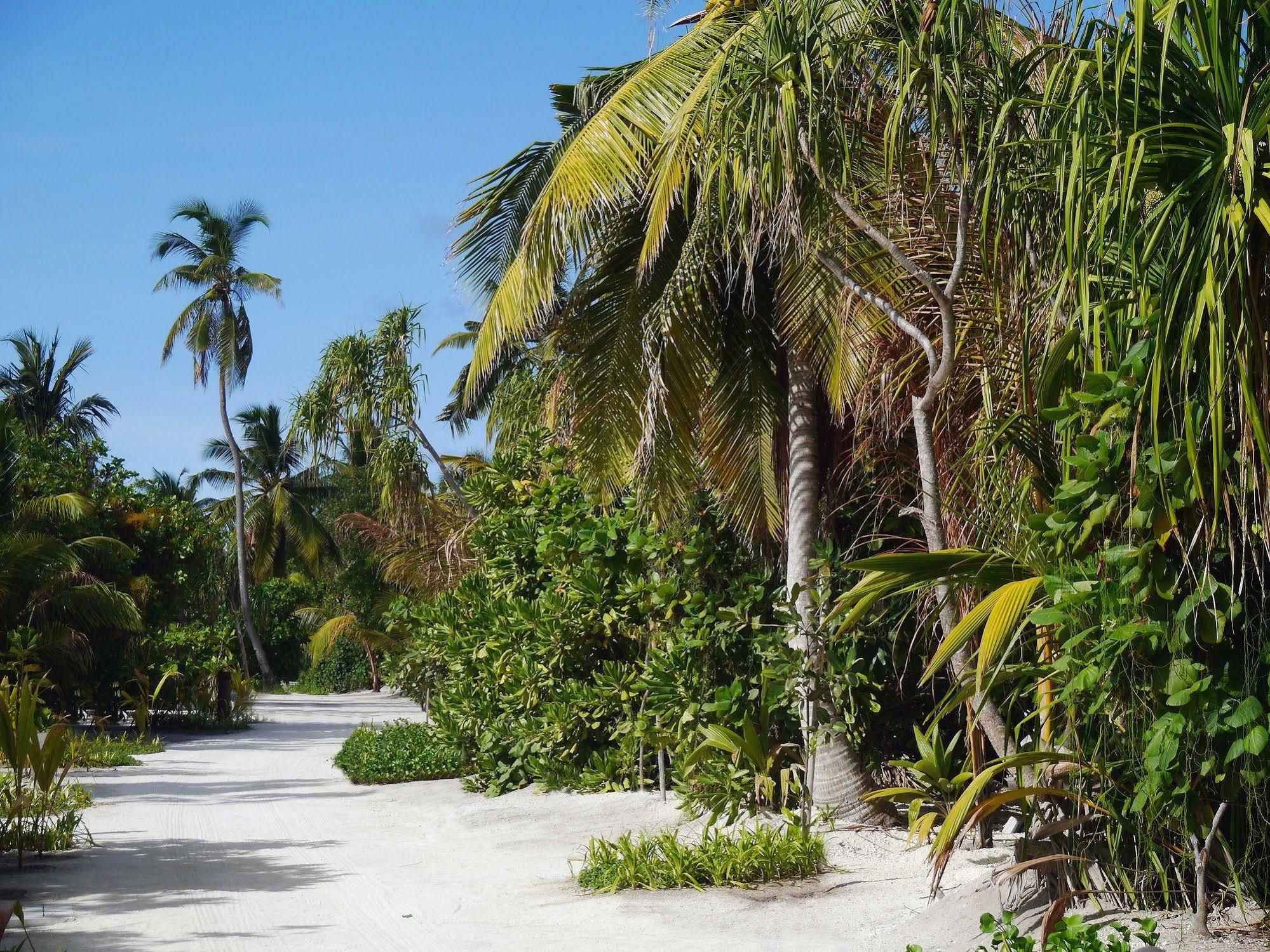 The Residence Maldives Dhigurah  Esterno foto